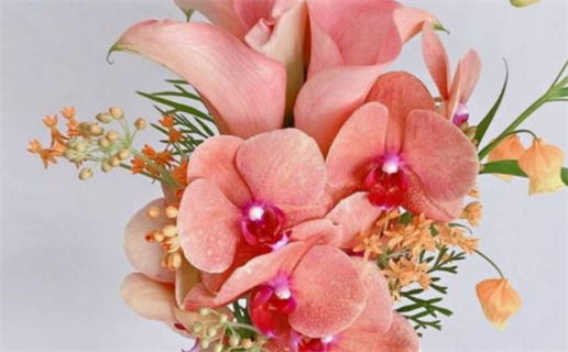 2033年05月13日结婚黄道吉日 今日办婚礼好吗 2033年05月13日结婚黄道吉日 今日办婚礼好吗