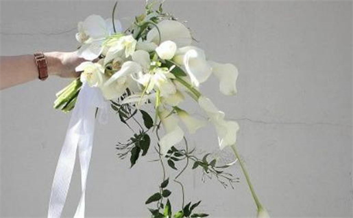 2033年农历七月十四是不是结婚吉日 今日办喜事好吗