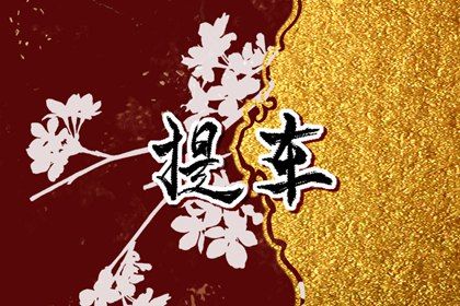 2033年农历六月廿八提车黄道吉日 今日提车好吗